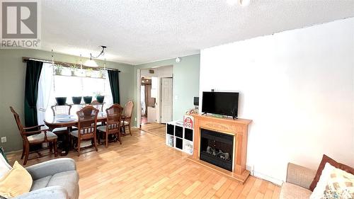 314 Saskatchewan Avenue, Loreburn, SK - Indoor Photo Showing Living Room With Fireplace
