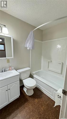 314 Saskatchewan Avenue, Loreburn, SK - Indoor Photo Showing Bathroom