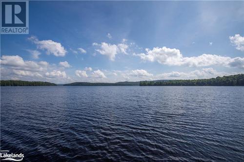 Southern Views of Percy Lake - 1216 Johnson Bay Road, Haliburton, ON - Outdoor With Body Of Water With View