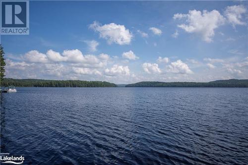 Waterfront View 2 - 1216 Johnson Bay Road, Haliburton, ON - Outdoor With Body Of Water With View