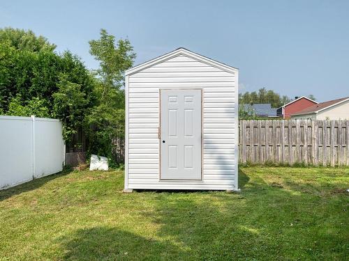 Shed - 320 Rue Cécile, Notre-Dame-Du-Bon-Conseil - Village, QC - Outdoor