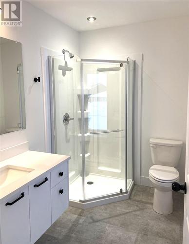 27 Albert Street, Massey Drive, NL - Indoor Photo Showing Bathroom