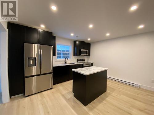 19/21 Albert Street, Massey Drive, NL - Indoor Photo Showing Kitchen