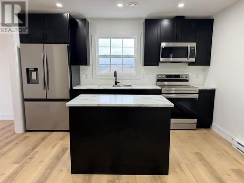 19/21 Albert Street, Massey Drive, NL - Indoor Photo Showing Kitchen With Upgraded Kitchen