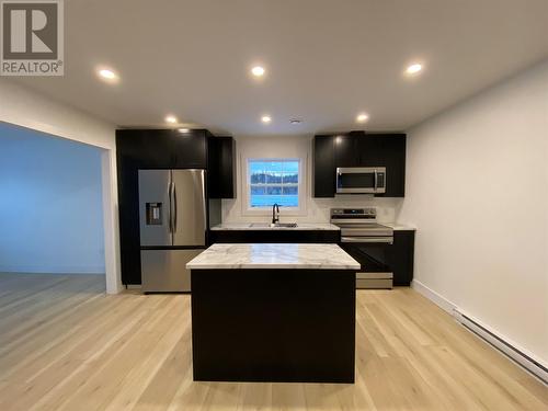 19/21 Albert Street, Massey Drive, NL - Indoor Photo Showing Kitchen