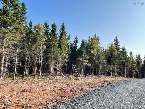 Lot 12 Pugwash Point Road, Pugwash, NS 