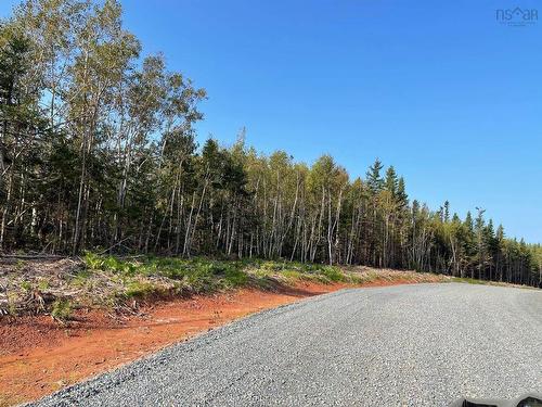 Lot 12 Pugwash Point Road, Pugwash, NS 