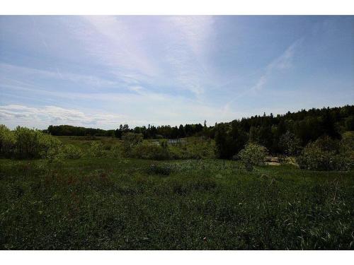 Land/Lot - 39 Route De Miguasha E., Nouvelle, QC - Outdoor With View