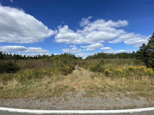 Lot Highway 320, D'Escousse, NS 