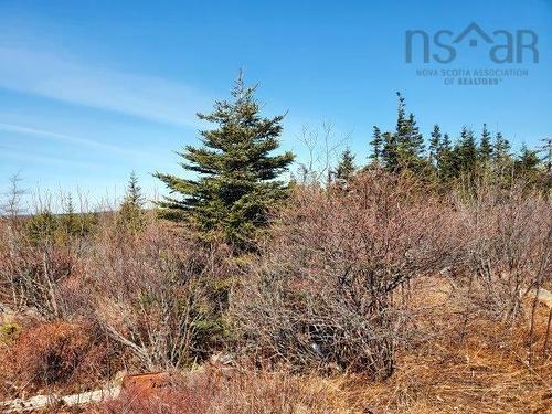Rocky'S Road, Woods Harbour, NS 