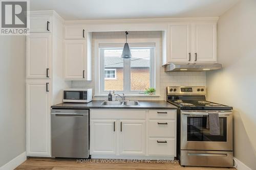 107 Winchester Blvd, Hamilton, ON - Indoor Photo Showing Kitchen With Stainless Steel Kitchen With Double Sink