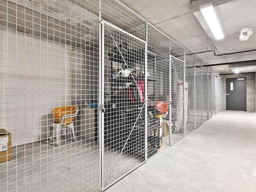 Storage - 107-4200 Rue Olivier-Fournier, Longueuil (Saint-Hubert), QC - Indoor With Storage