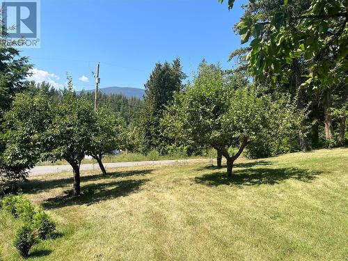 645 Badger Road, Tappen, BC - Outdoor With View