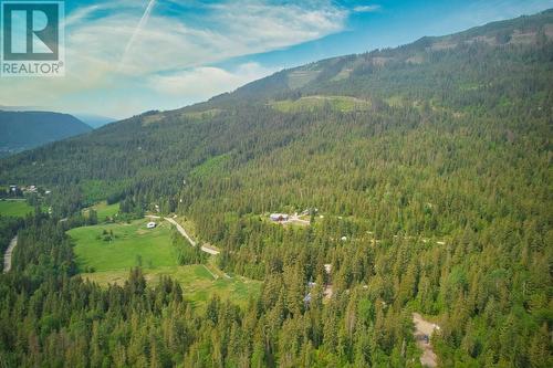 2495 Samuelson Road, Sicamous, BC 