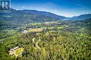 2495 Samuelson Road, Sicamous, BC 