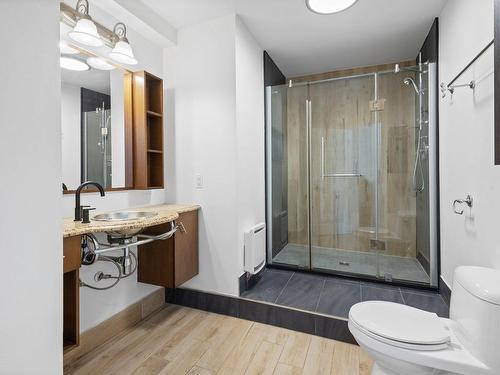 Salle de bains - 12274 Rue Ferdinand-Bastien, Montréal (Rivière-Des-Prairies/Pointe-Aux-Trembles), QC - Indoor Photo Showing Bathroom