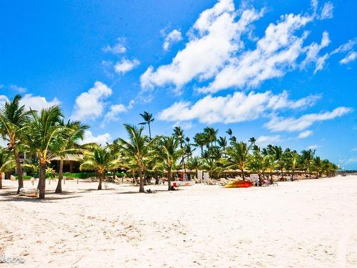 Other - Punta Cana, Republique Dominicaine, Autres Pays / Other Countries, QC - Outdoor With View