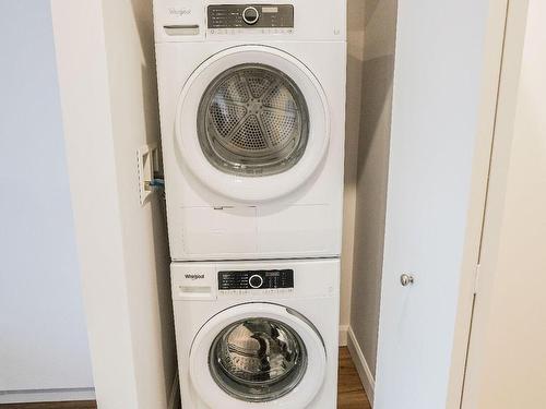Autre - 206-5250 Rue Molson, Montréal (Rosemont/La Petite-Patrie), QC - Indoor Photo Showing Laundry Room