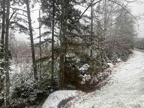 Lot 8 Highway 357, Musquodoboit Harbour, NS 