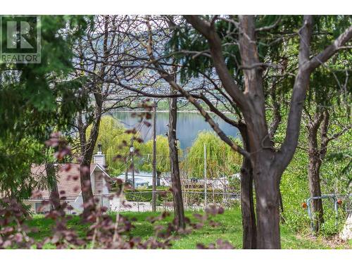 16 Chardonnay Court, Osoyoos, BC - Outdoor With View