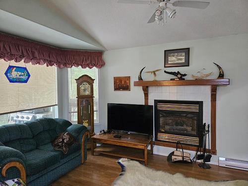 534 Bayview Road, Nakusp, BC - Indoor Photo Showing Living Room With Fireplace