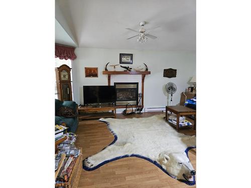 534 Bayview Road, Nakusp, BC - Indoor With Fireplace