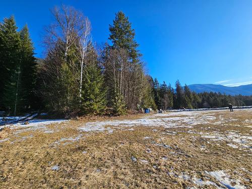 534 Bayview Road, Nakusp, BC - Outdoor With View