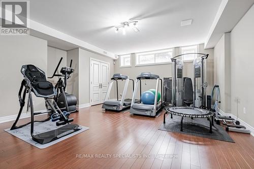 295 Belvenia Rd, Burlington, ON - Indoor Photo Showing Gym Room