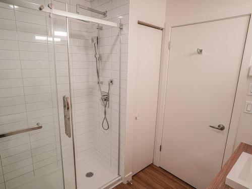 Other - 513-5250 Rue Molson, Montréal (Rosemont/La Petite-Patrie), QC - Indoor Photo Showing Bathroom