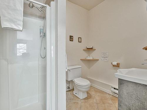 Ensuite bathroom - 1430 Rue De L'Académie, Val-David, QC - Indoor Photo Showing Bathroom