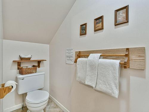 Ensuite bathroom - 1430 Rue De L'Académie, Val-David, QC - Indoor Photo Showing Bathroom