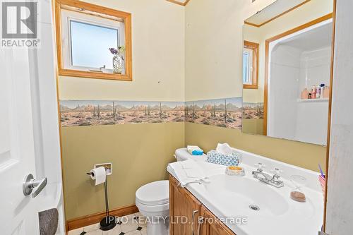 32 Agnes St, Caledon, ON - Indoor Photo Showing Bathroom