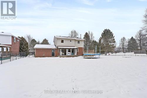 32 Agnes St, Caledon, ON - Outdoor