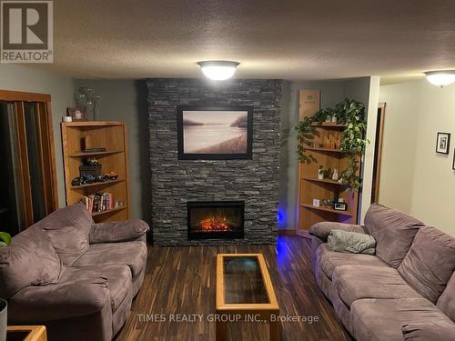 529 Willies Ranch Road, Princeton, BC - Indoor Photo Showing Living Room With Fireplace