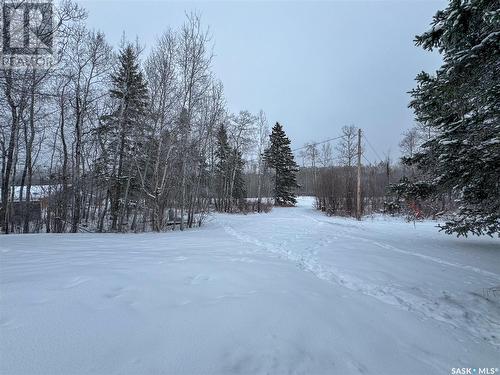 113 Johnson Crescent, Christopher Lake, SK - Outdoor With View