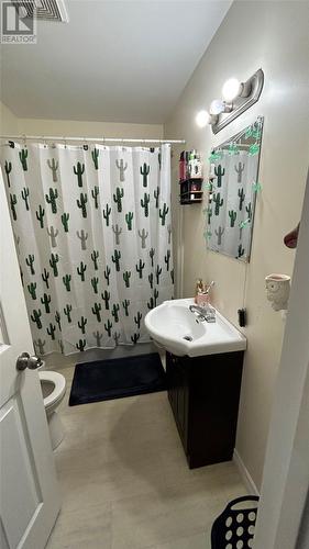 2 Crown Avenue, Stephenville, NL - Indoor Photo Showing Bathroom