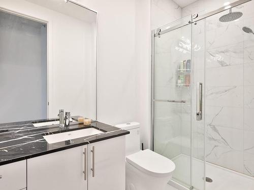 Ensuite bathroom - 208-3950 Rue Claude-Henri-Grignon, Montréal (Saint-Laurent), QC - Indoor Photo Showing Bathroom