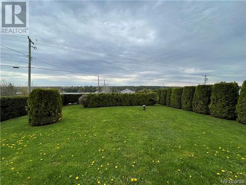 998 Route 425, Whitney, NB - Outdoor With View