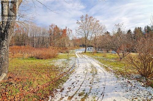 125 South Knowlesville Road, Knowlesville, NB - Outdoor With View