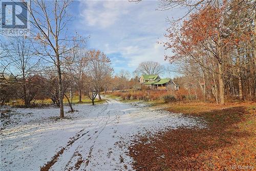 125 South Knowlesville Road, Knowlesville, NB - Outdoor With View