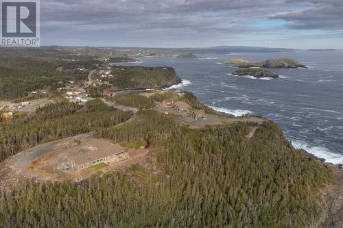 0 Bauline East Road, Tors Cove, NL - Outdoor With Body Of Water With View