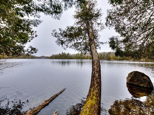 Waterfront - 3861 Ch. De La Rivière-Perdue, Wentworth-Nord, QC - Outdoor With Body Of Water With View