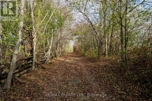 381 Partridge Hollow Road, Prince Edward County, ON - Outdoor With View