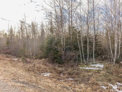 Lot 11-01 Moonlight Court, Crowes Mills, NS 