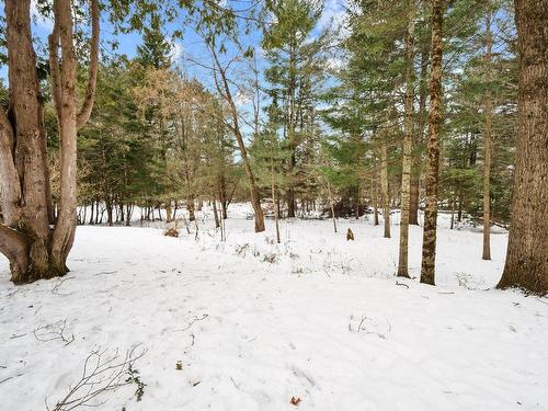 Cour - 18 Rue James, Lac-Brome, QC - Outdoor