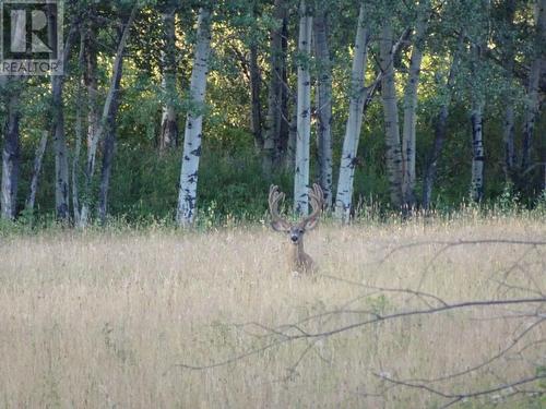 Dl5277 Day Road, Horsefly, BC 