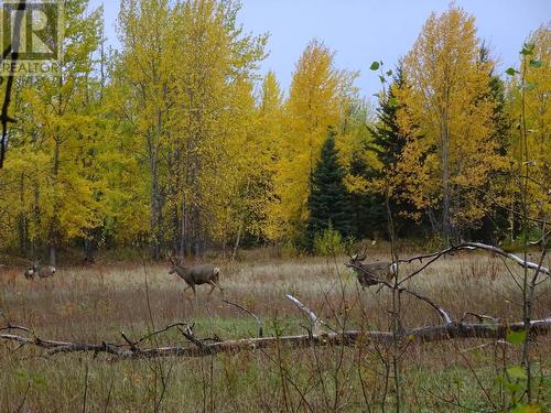 Dl5277 Day Road, Horsefly, BC 