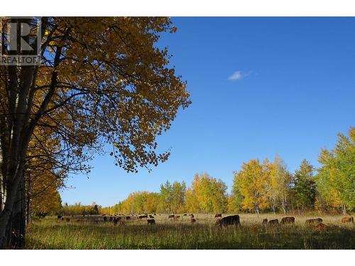 Dl5277 Day Road, Horsefly, BC 