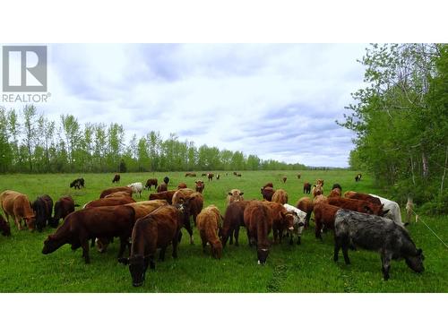 Dl5277 Day Road, Horsefly, BC 