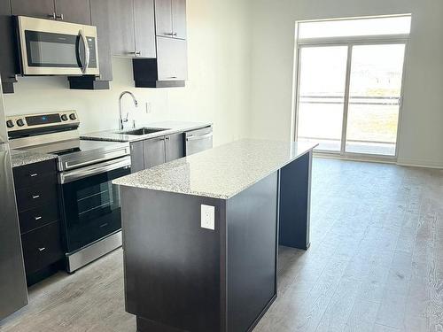 620-460 Gordon Krantz Ave, Milton, ON - Indoor Photo Showing Kitchen With Stainless Steel Kitchen With Upgraded Kitchen